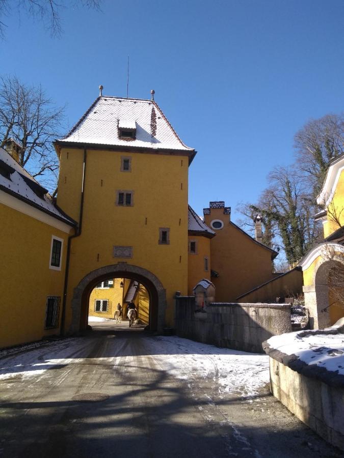 Gaestewohnung Schlossblick Grödig Exteriör bild