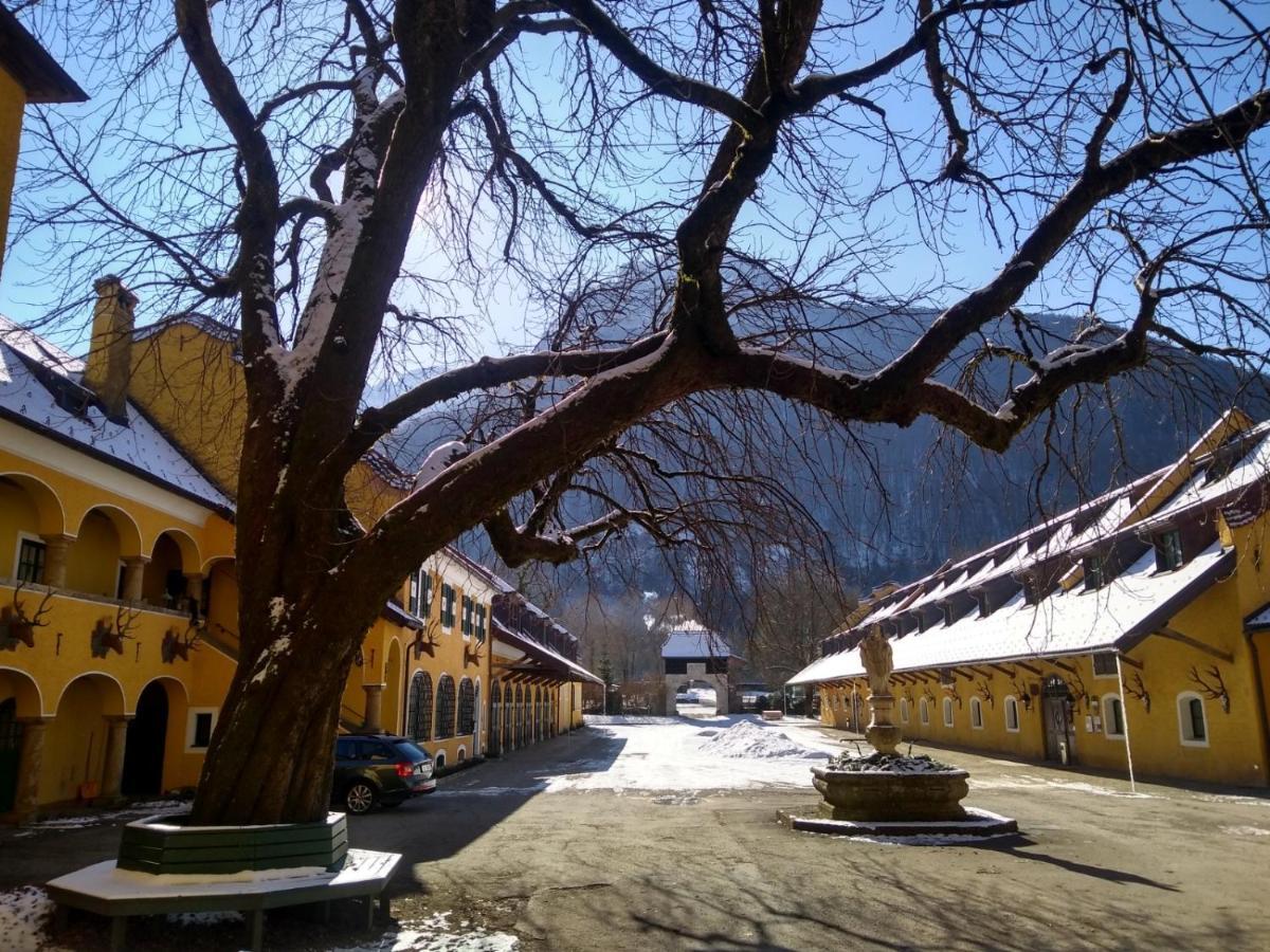 Gaestewohnung Schlossblick Grödig Exteriör bild